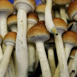 Liberty Caps
