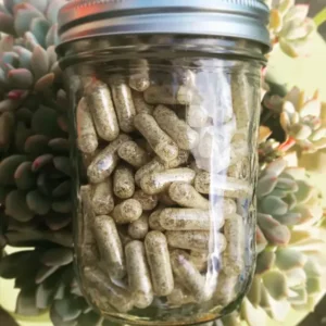 Blue Meanies Psilocybin Mushrooms Capsules