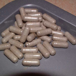Laughing Gym Mushroom Capsules